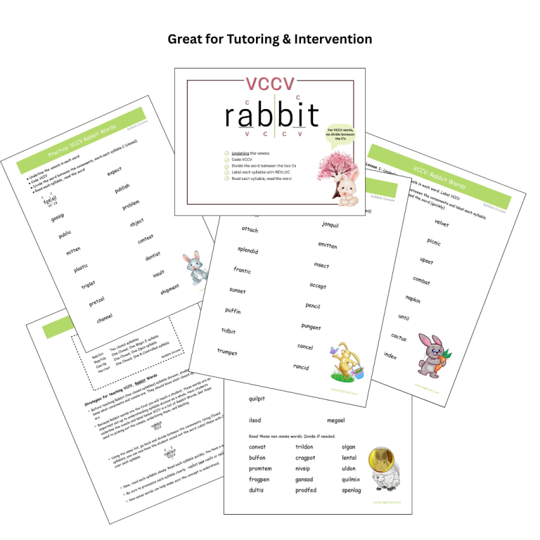 Rabbit Rule Packet + Reader | VCCV Syllable Division Practice