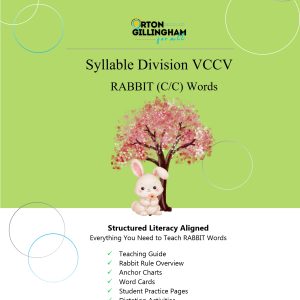 Rabbit Rule Packet + Reader | VCCV Syllable Division Practice