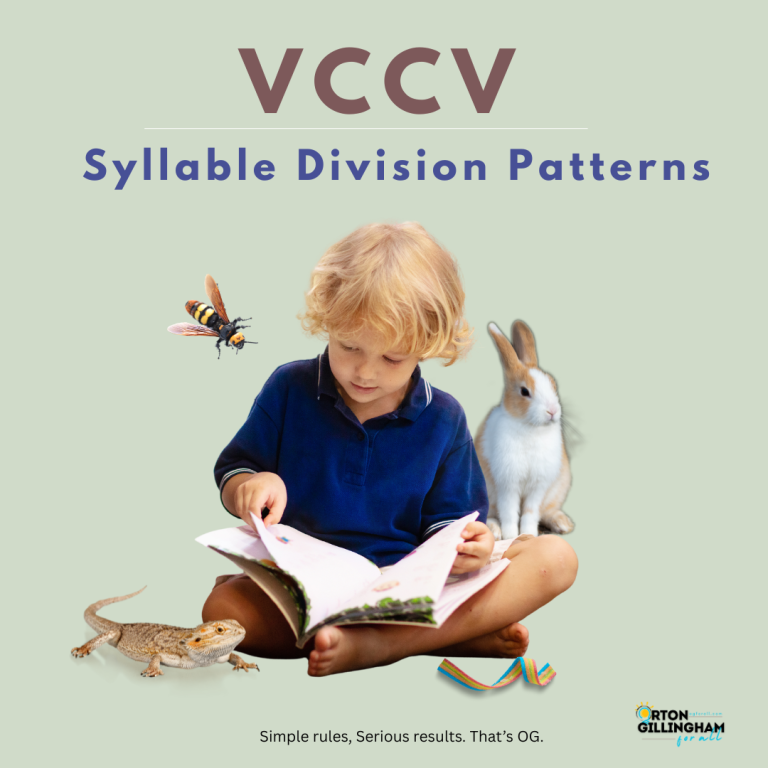 VCCV Syllable Division (Rabbit, Reptile, Candy and Hornet Words) + Word lists
