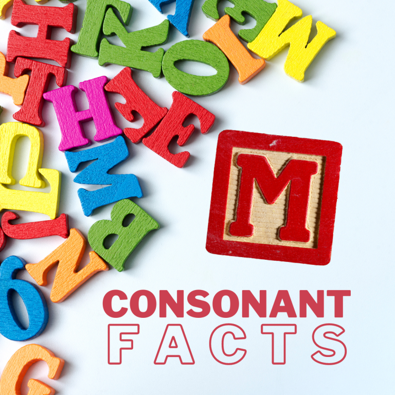 What Do You Know About Consonants? Now You Know Much More